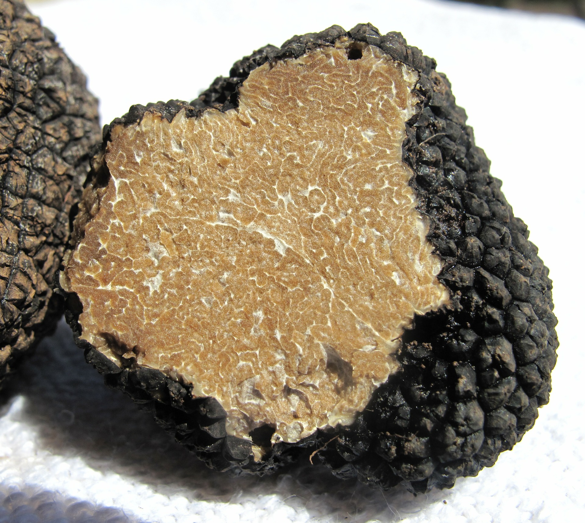 Real Truffle