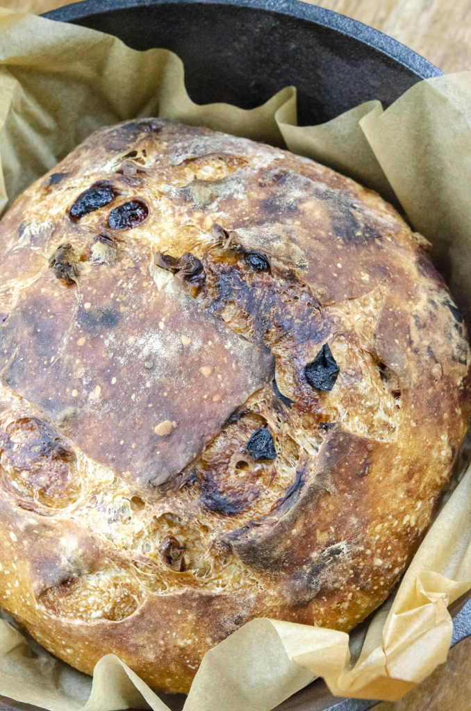 Cranberry Walnut Dutch Oven Bread