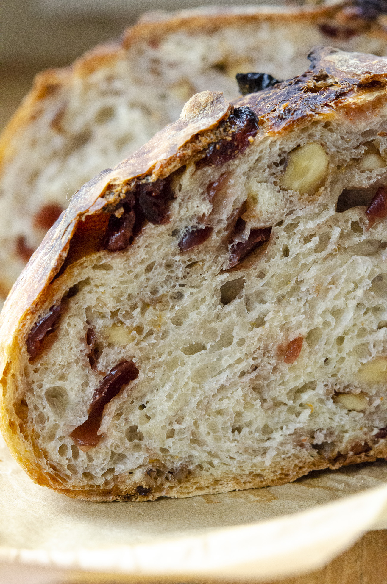 Dutch Oven Bread - Dark Chocolate Cranberry Walnut Dutch Oven Bread