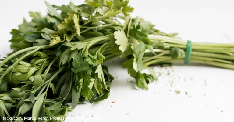 Parsley Is Being Recalled Due To E. Coli Concerns