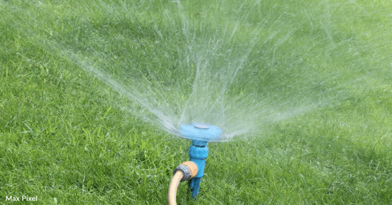 How To Get A Green Lawn Without Wasting Water