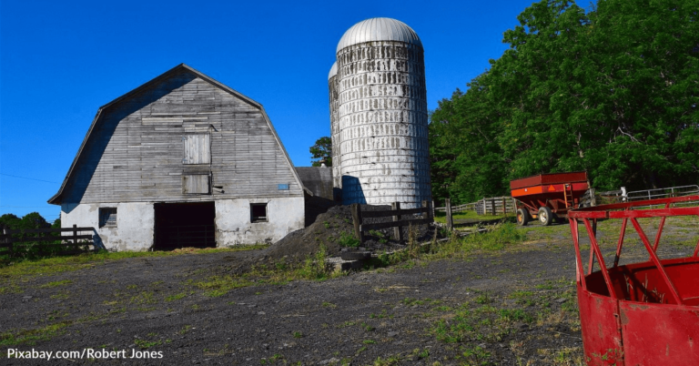 Unique Airbnb Lets You Can Stay Inside A House That’s Inside A Barn