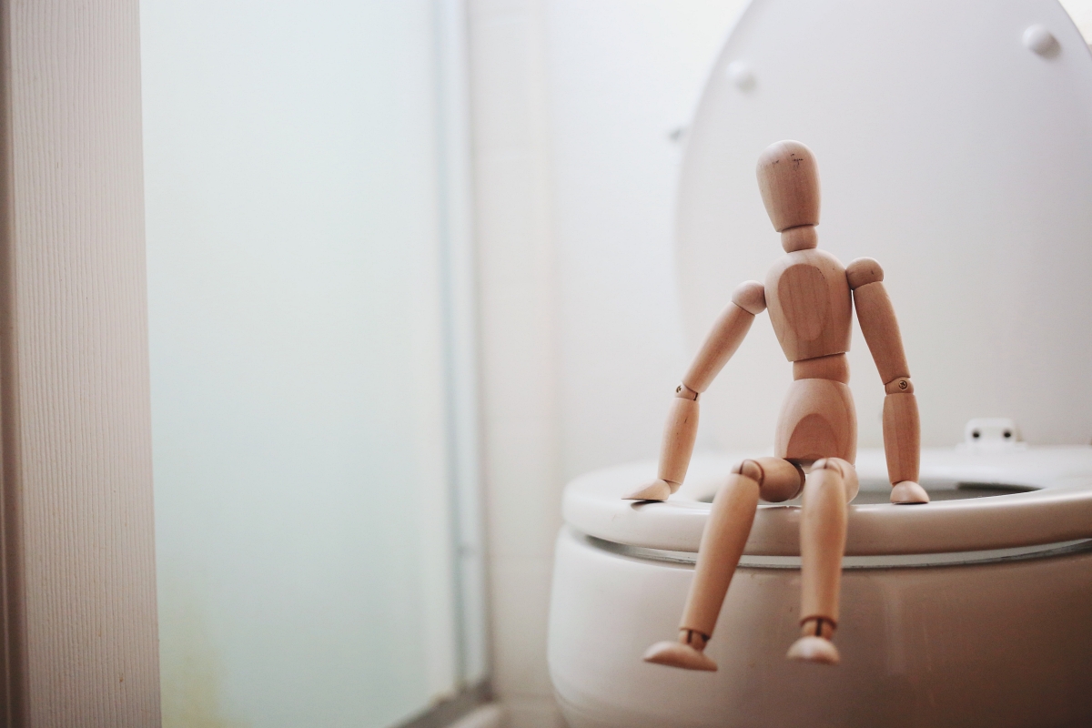 artist mannequin posed on toilet