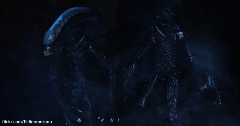 You Can Make Recipes Inspired By The ‘Aliens’ Movies With This New Cookbook
