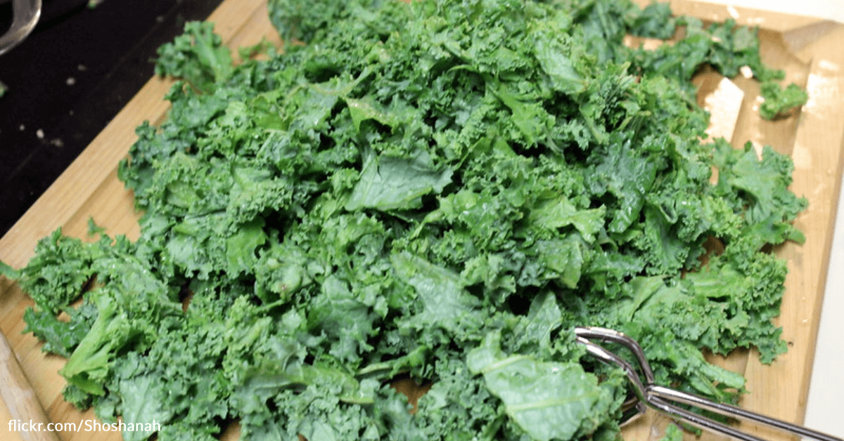 Kale Is Being Recalled Across The Country Over Listeria Contamination 