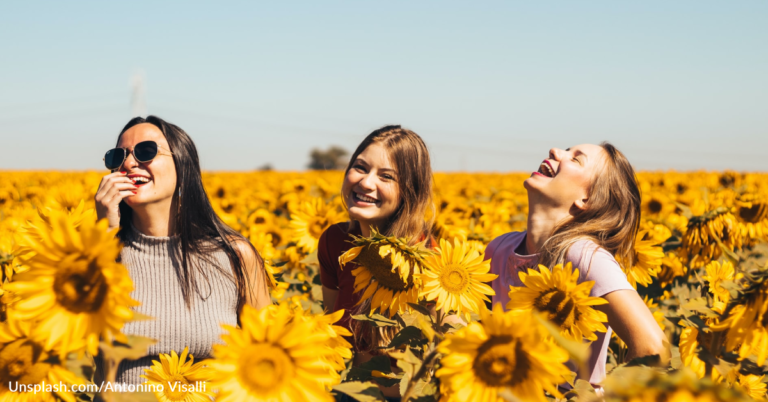 Three Women Take A Road Trip Together After They Discover The Same Guy Was Cheating On Them