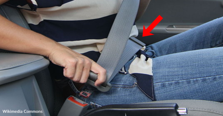 Here’s Why There’s No Fabric Loop On A Driver’s Seatbelt