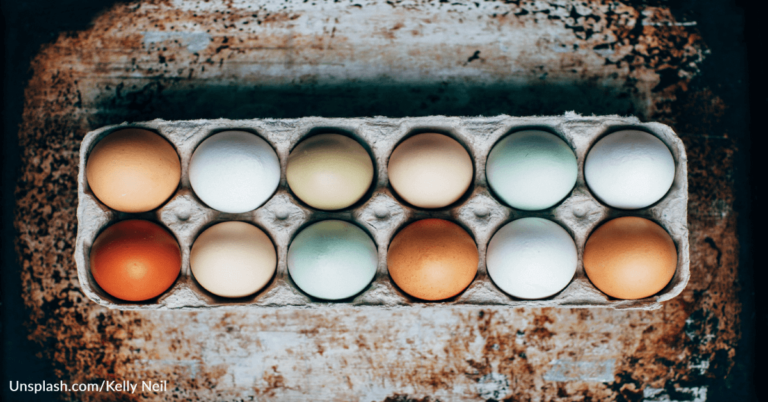 The Correct Way To Remove Eggs From A Carton