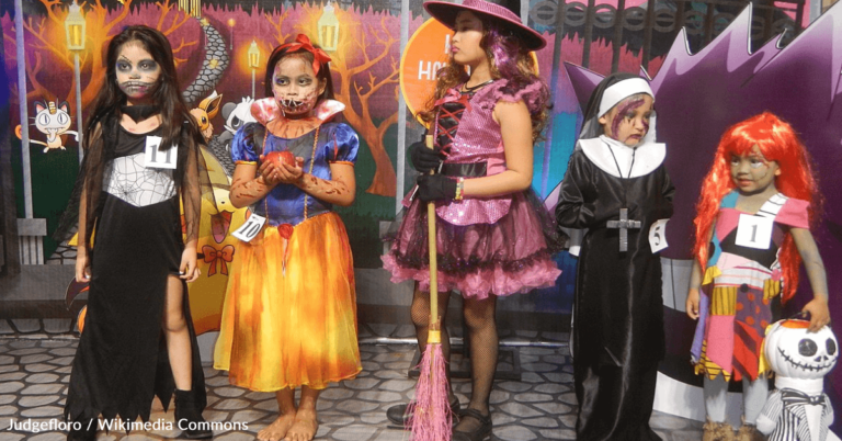 Ellen Shared Last-Minute Halloween Costumes Reminiscent Of 2020