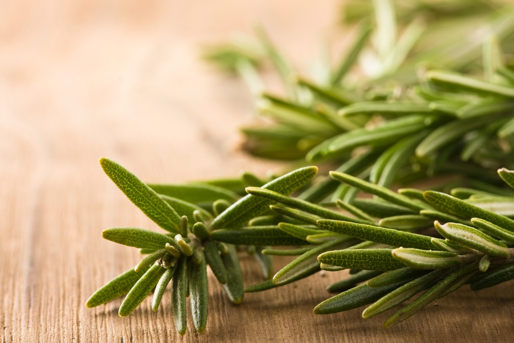 fresh rosemary