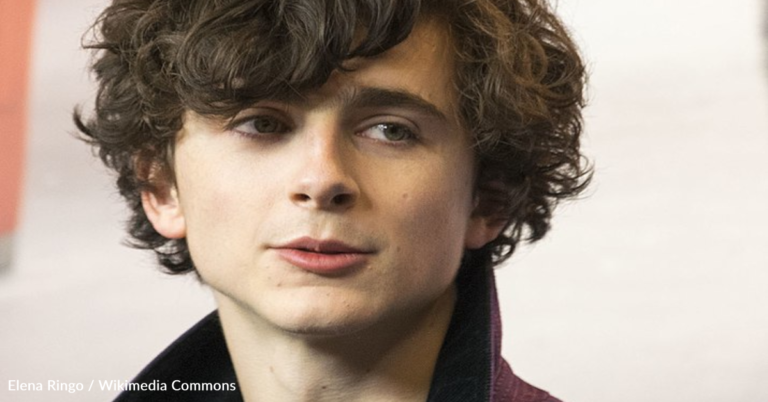 Timothée Chalamet To Star As Willy Wonka In New Film