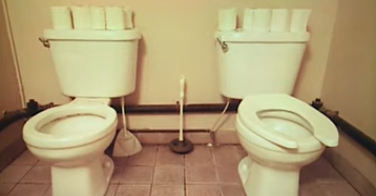 Meghan Trainor & Husband Daryl Sabara Have TWO Toilets In Their