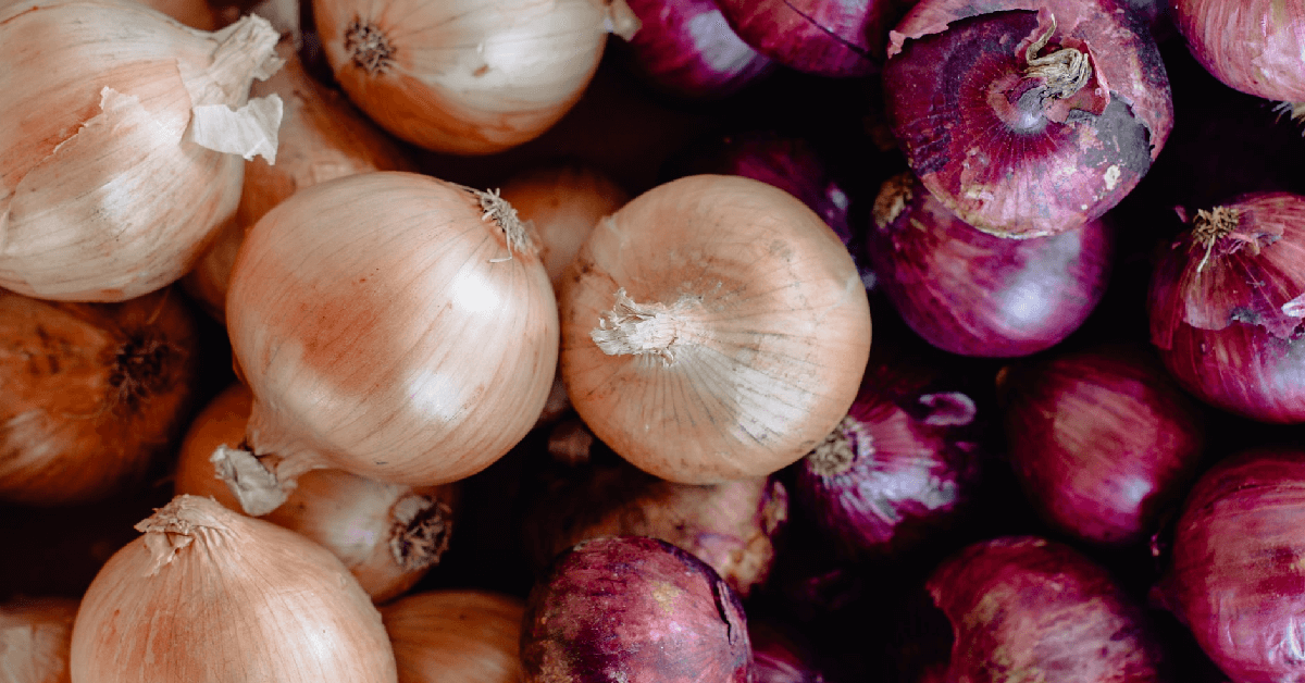 CDC Recalls Onions Nationwide After 650 People Got Ill 12 Tomatoes