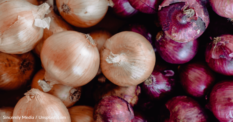CDC Recalls Onions Nationwide After 650 People Got Ill