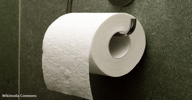 How To Spruce Up Your Bathroom With A Simple Toilet Paper Hack