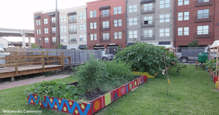Small Town In Michigan Is Growing Its Own Fruits And Vegetables For Residents