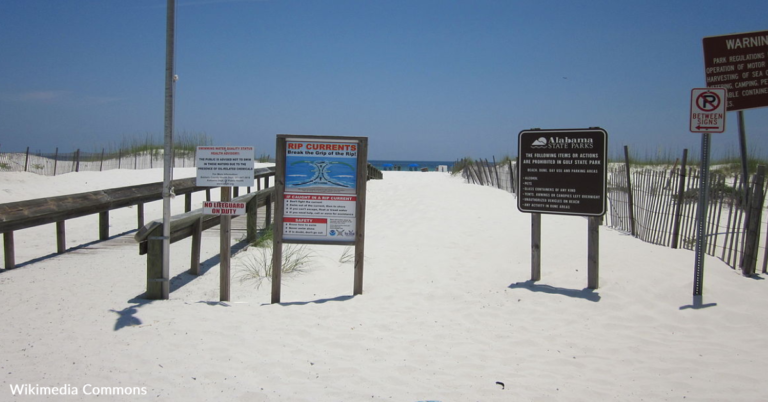 Lifeguards Carry 95-Year-Old Woman To The Beach Every Day Of Her Vacation