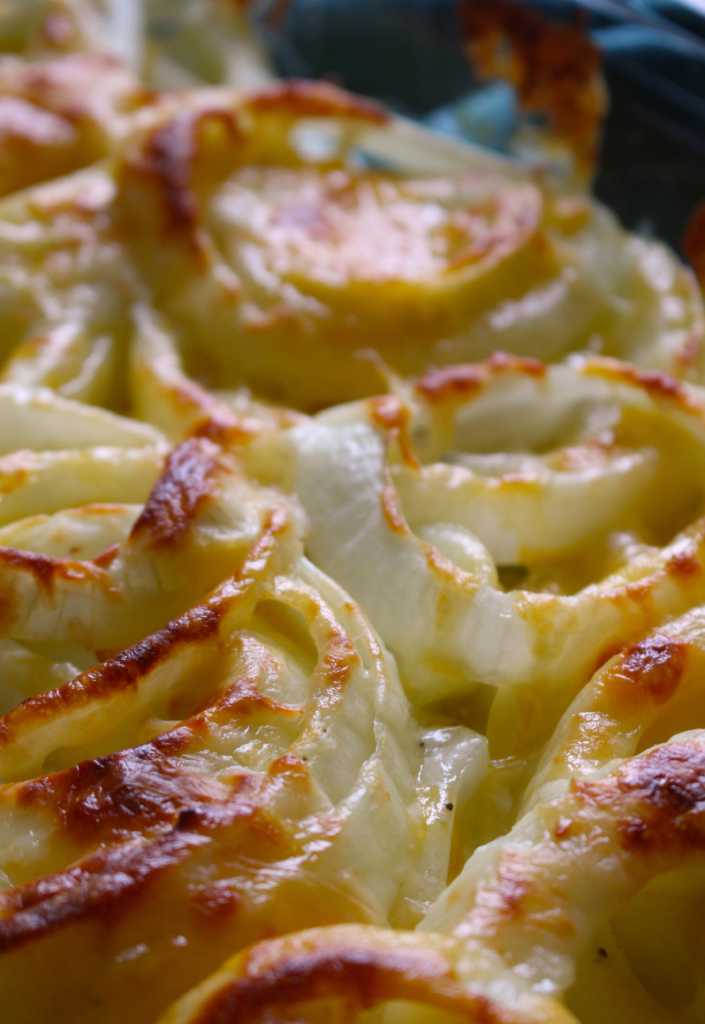 Tennessee Onions 12 Tomatoes