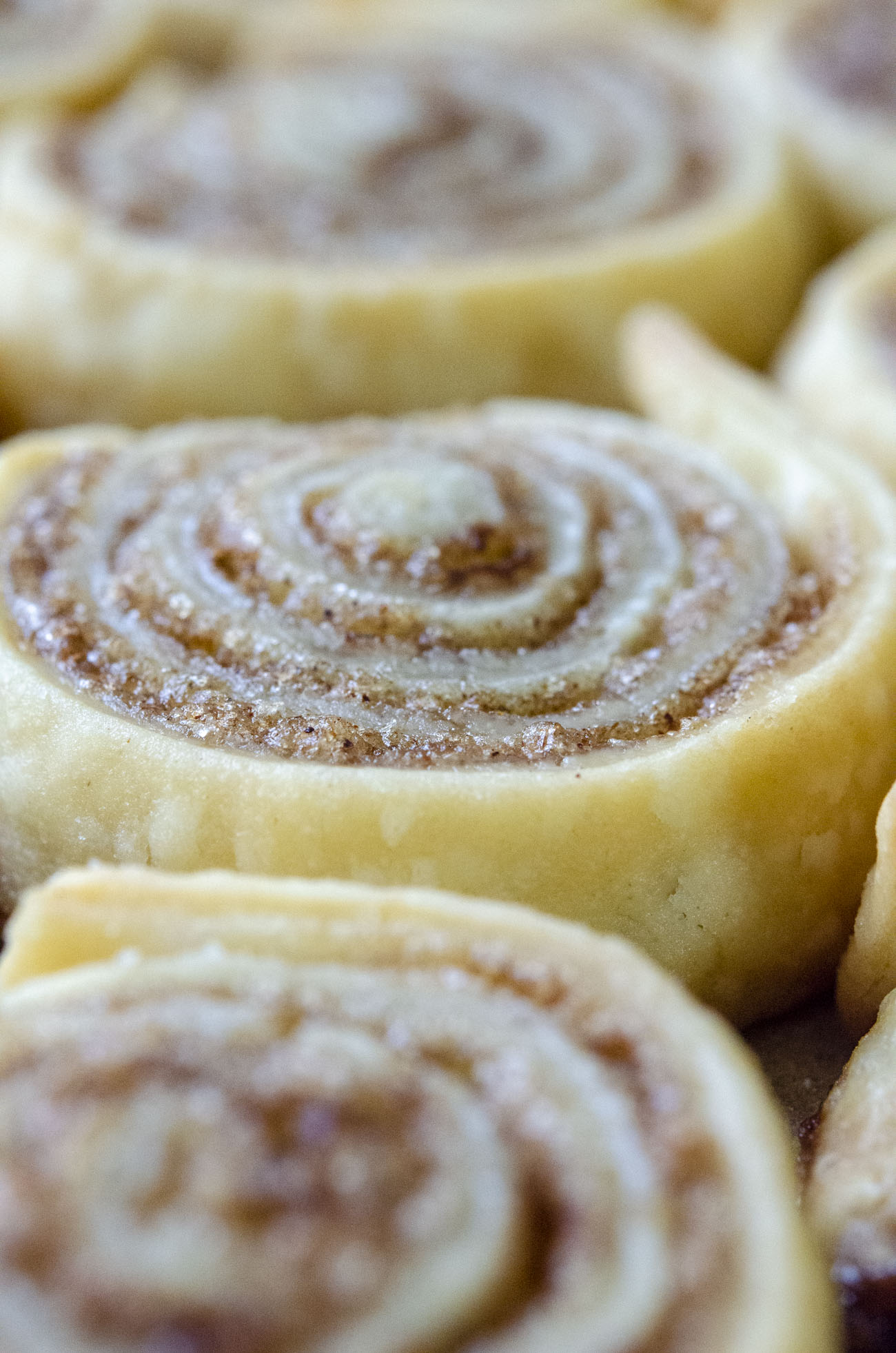 Cinnamon Sugar Pie Crust Cookies-image
