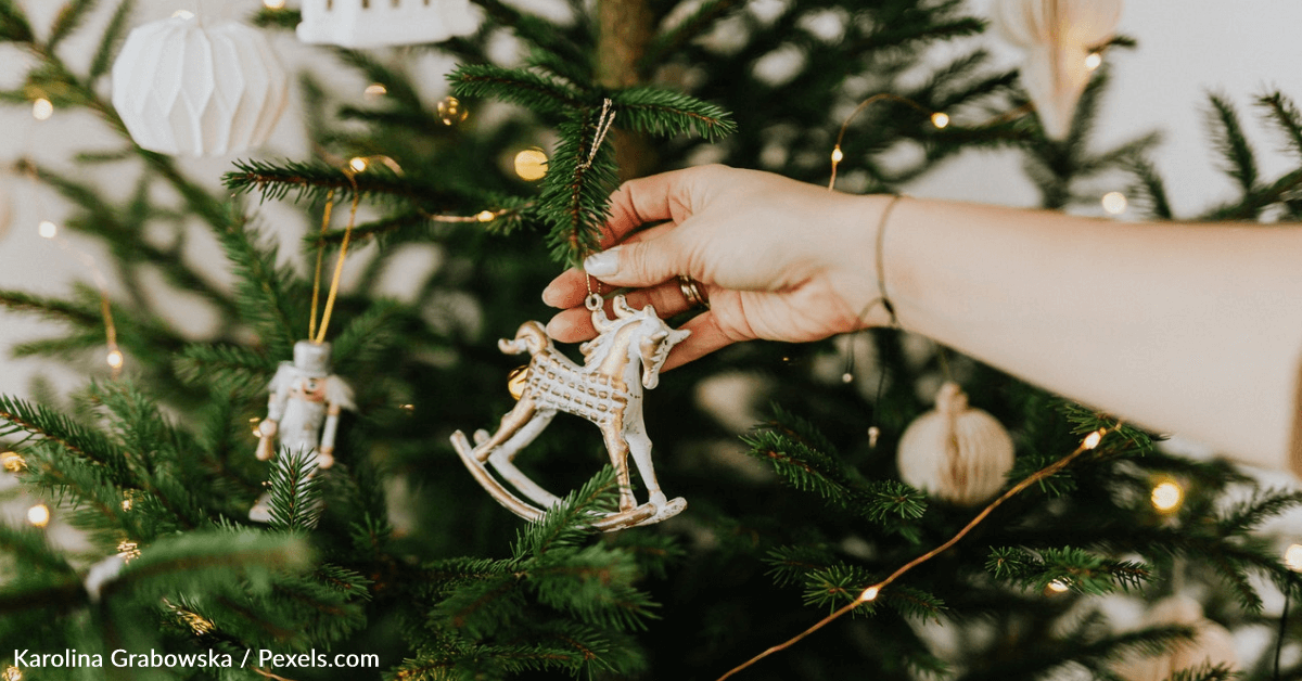 The American Christmas Tree Association Warns There May Be A Christmas Tree Shortage This Year