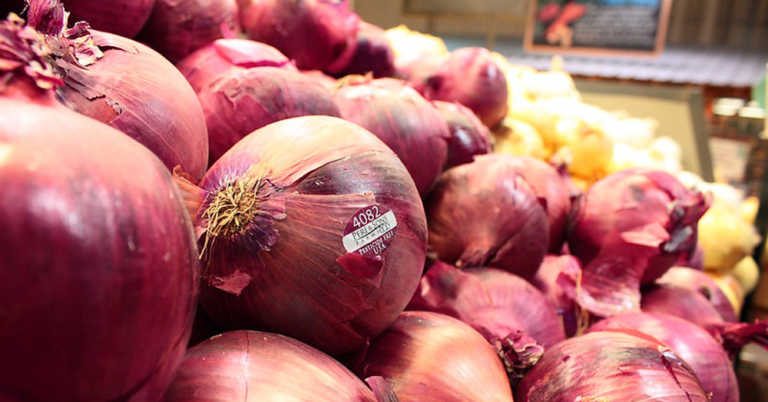183 Hospitalizations Linked to Salmonella in Onions