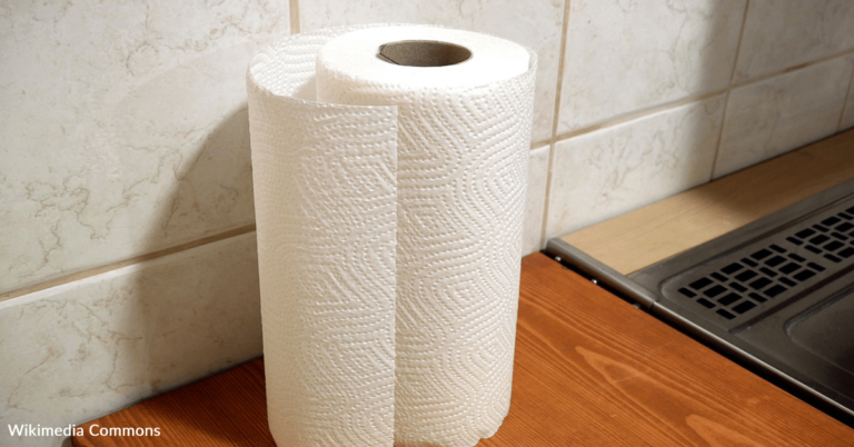 Why You Should Put Paper Towels In The Fridge