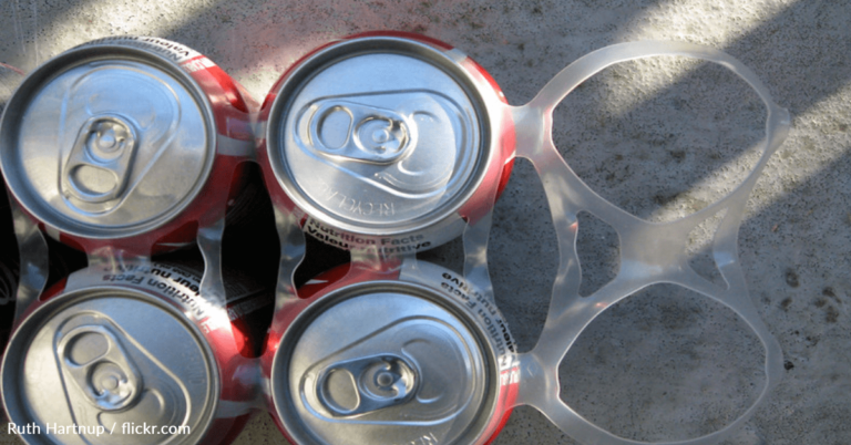 Viral Hack Shows How To Remove Bottles From Plastic Rings