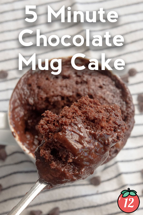 5-Minute Chocolate Mug Cake - Girl Gone Gourmet