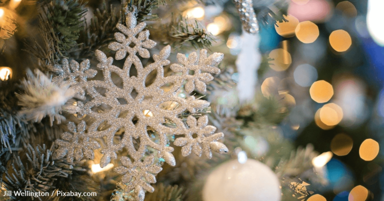 This Family Has Been Using The Same Living Christmas Tree Since 1983
