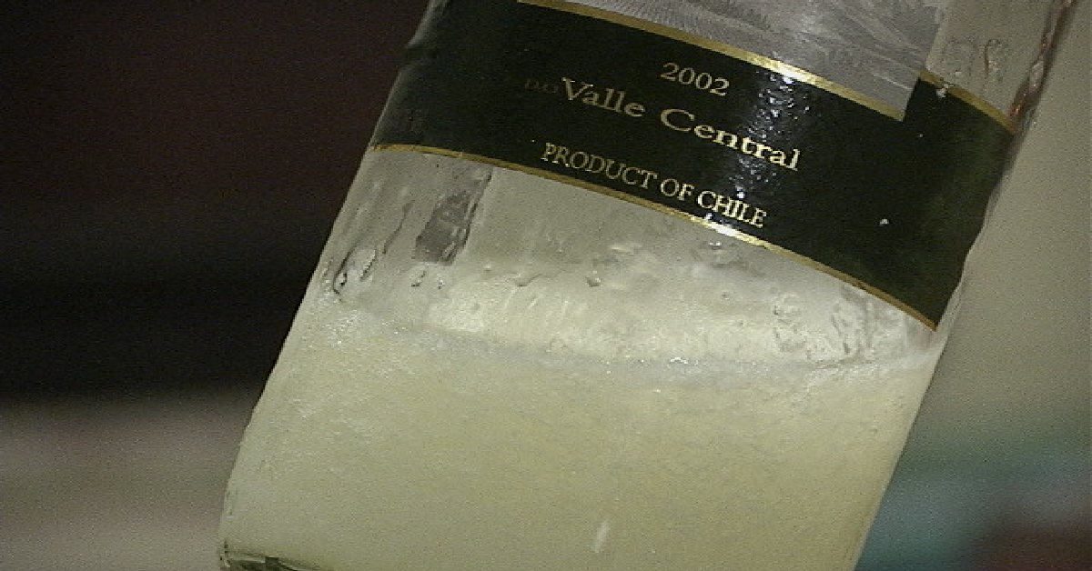 Can You Freeze Wine? 12 Tomatoes