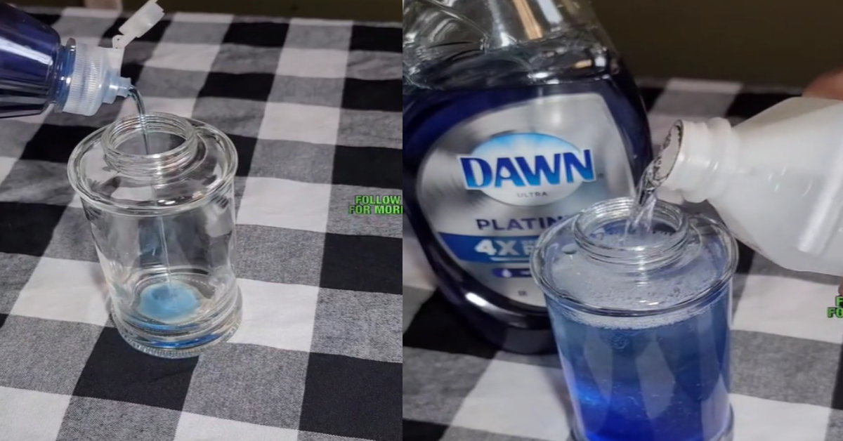 Woman Shares How To Make A Bottle Of Dish Soap Last A Year | 12 Tomatoes