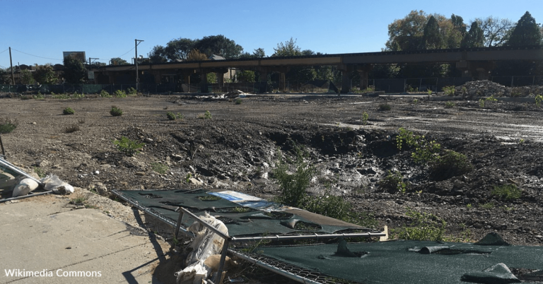 8-Year-Old Boy Turns Vacant Lot Into Elfland