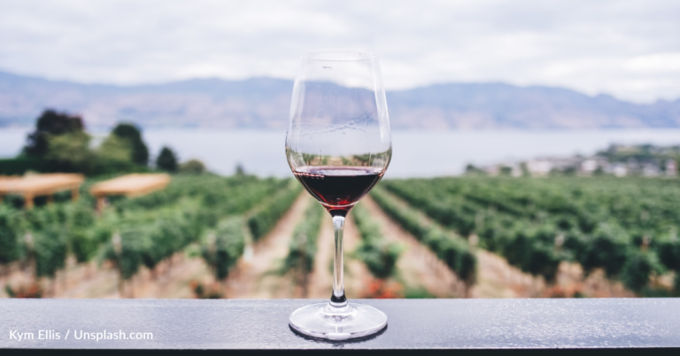 Renowned Sommelier Explains Why It’s Important To Use The Right Type Of Wine Glass