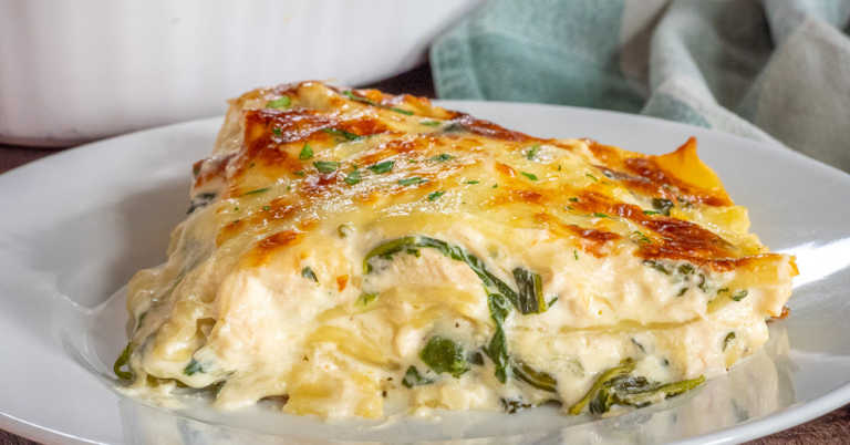 Chicken Alfredo Lasagna