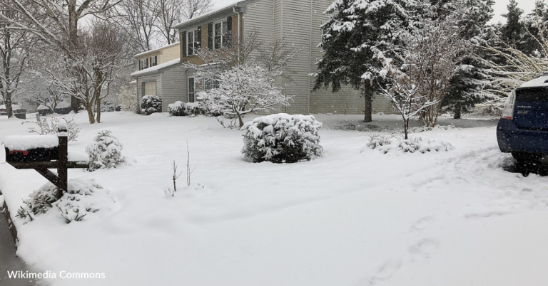 How To ‘Roll’ Snow Instead Of Shoveling It