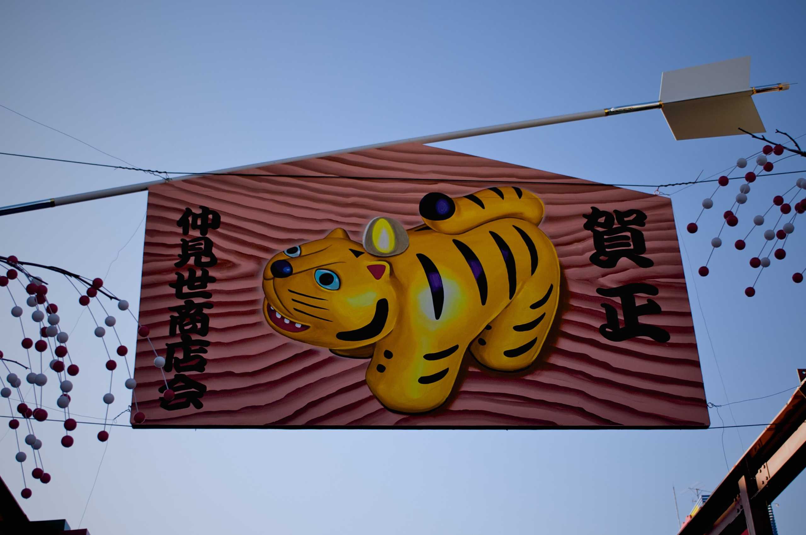 Year of the Tiger Sign