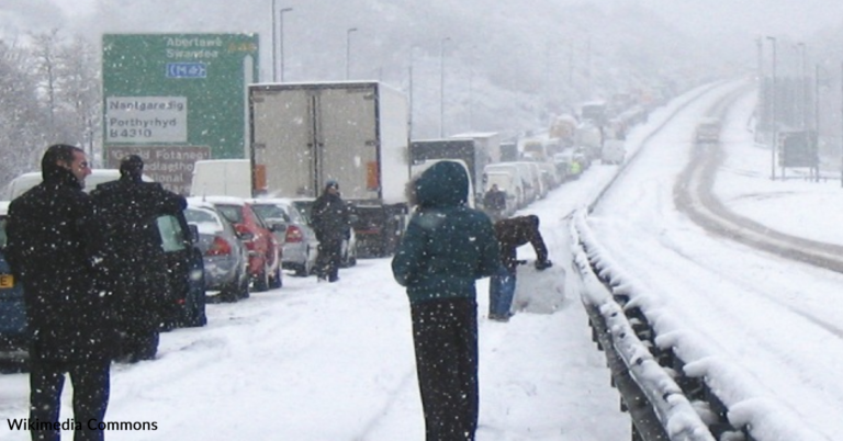 Bread Company Stuck In Traffic Feeds Stranded Motorists
