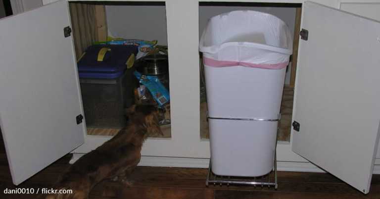 How To Put Garbage Bags In The Right Way