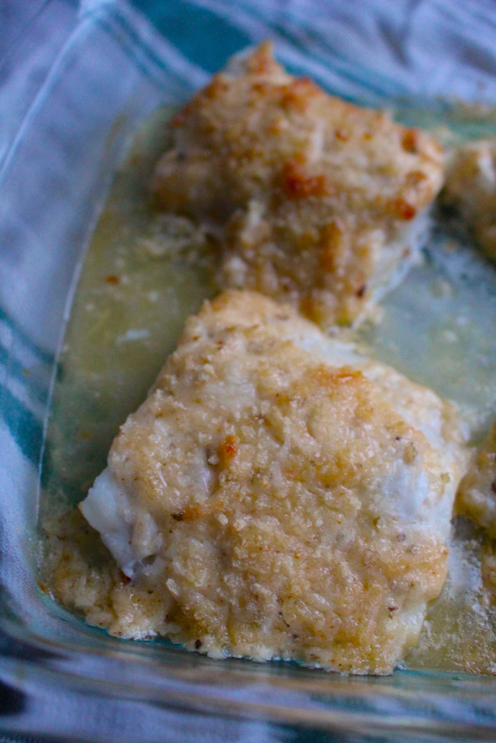 parmesan baked cod 4