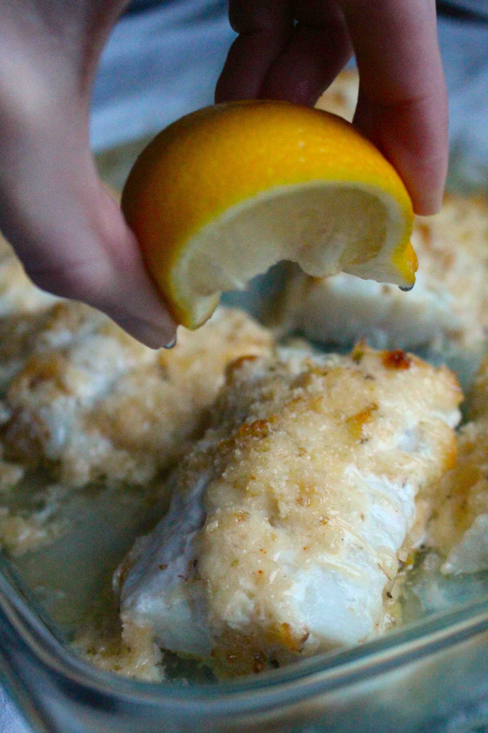 parmesan baked cod 1