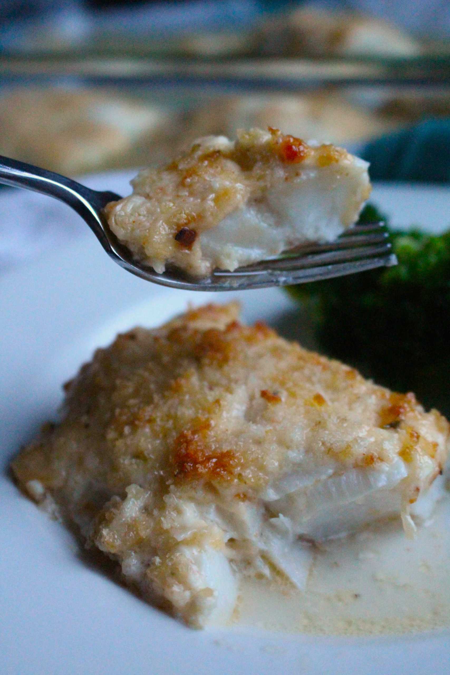 parmesan baked cod 6