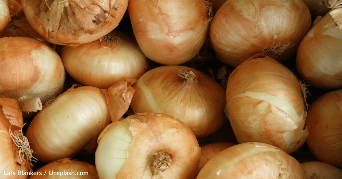 “Tearless” Onions Are Coming To The UK 12 Tomatoes