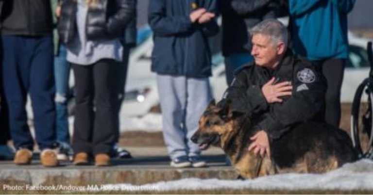 Veteran Police Dog Given Heroes’ Farewell Before Crossing The Rainbow Bridge