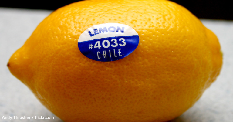 Watch This Satisfying Footage Of Stickers Being Applied To Lemons