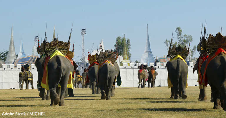Annual Festival Of Elephant Abuse Continues In Thailand