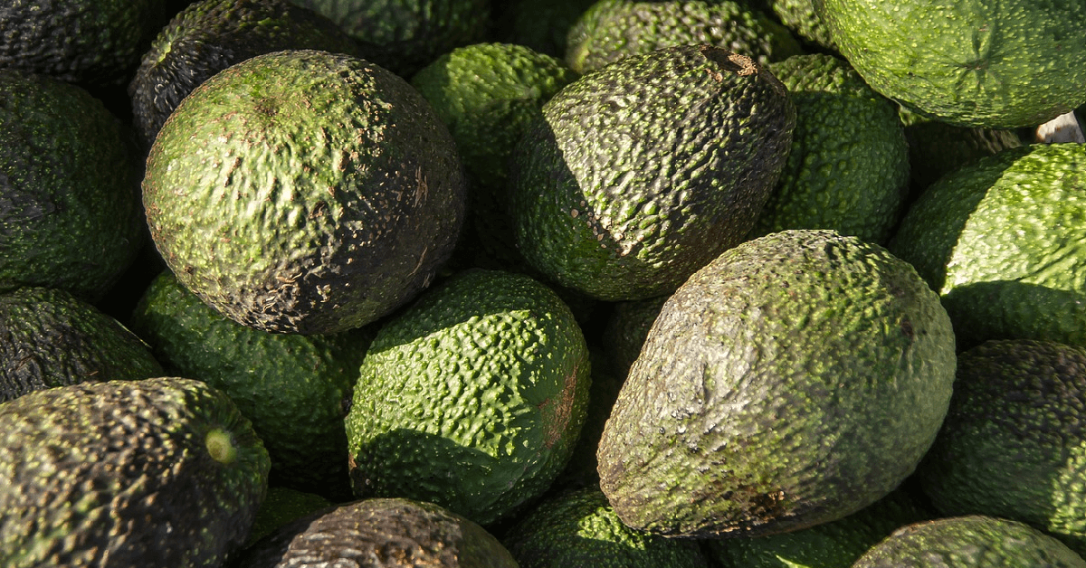 Avocados