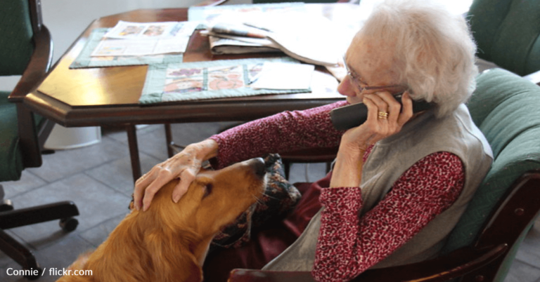 Grandma Sets Up Sting Operation To Scam The Scammer That’s Calling Her