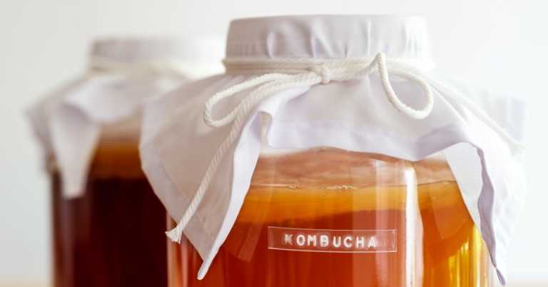 What is Kombucha?