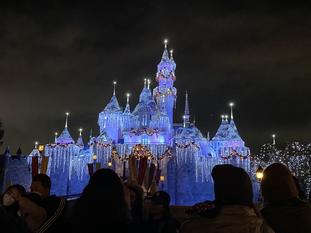 Disney Castle at Night