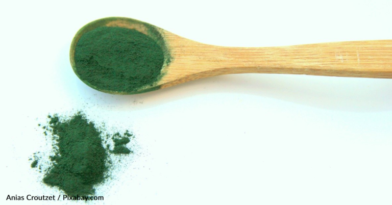 French Brewers Use Algae To Make A Blue Beer